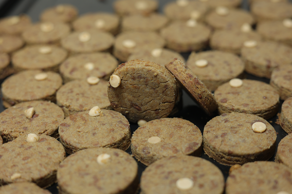 Millet Brown Sugar Cookies