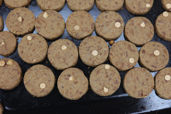 Millet Brown Sugar Cookies